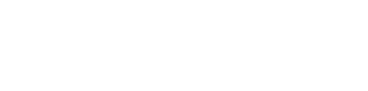 Vega IT Logo