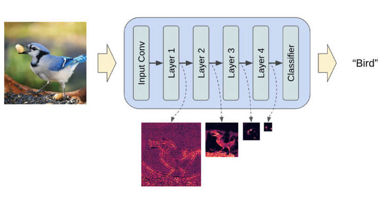 Extricating the most important attributes by using convolutional neural networks