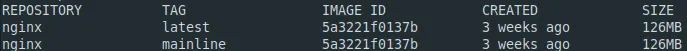 docker-nginx-ls.png