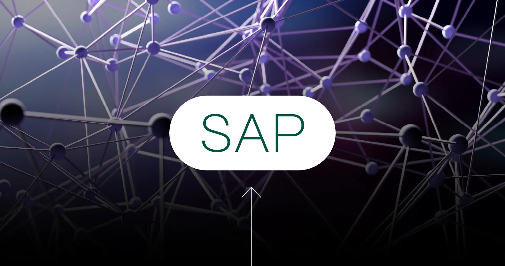 Vizuali Za Novi Tekst SAP NEWS