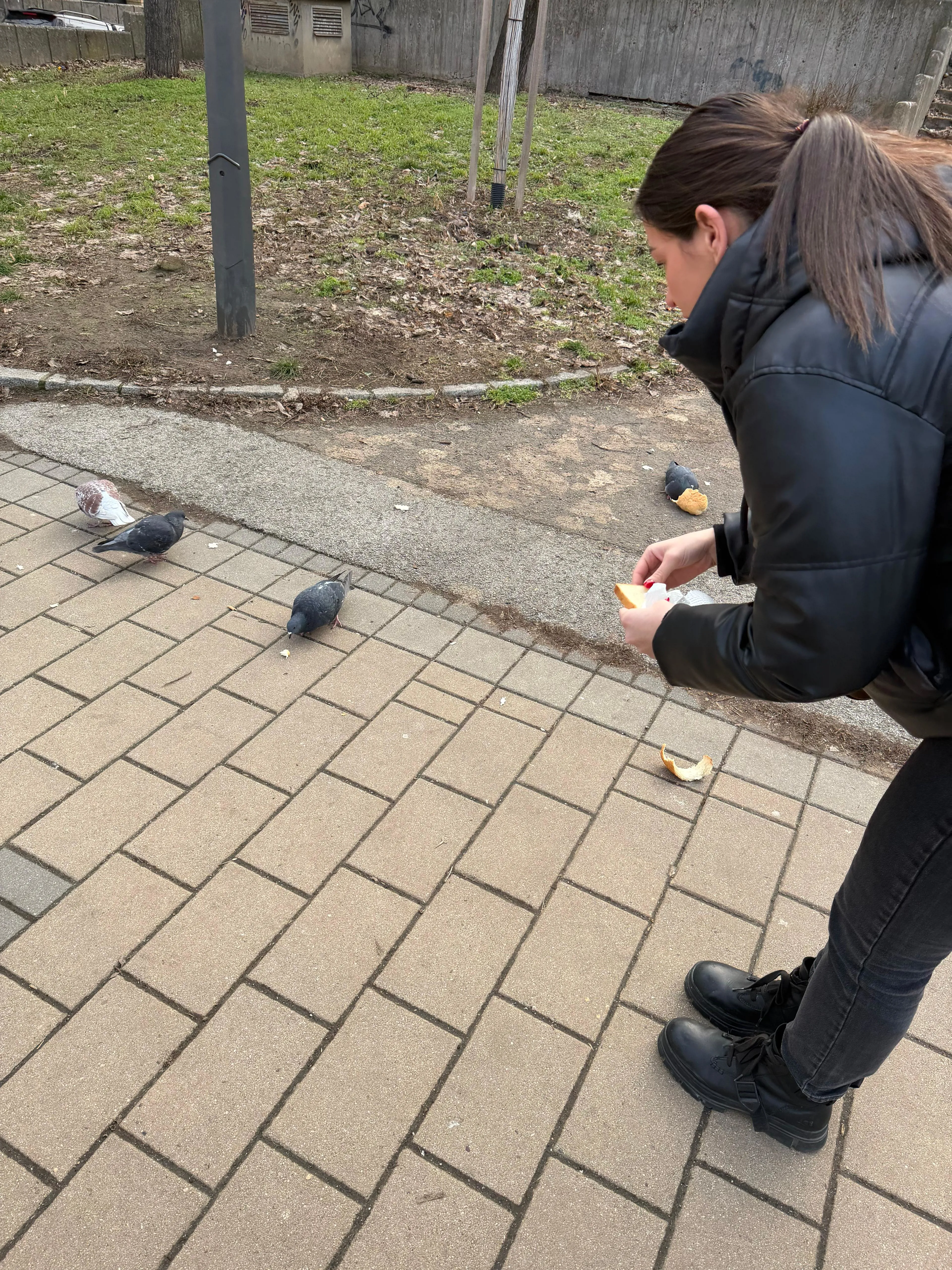 IMG 20260202 WA0011 Natasa Scekic