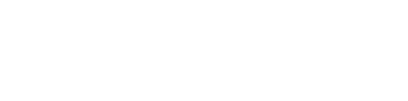 VegaIT Logo